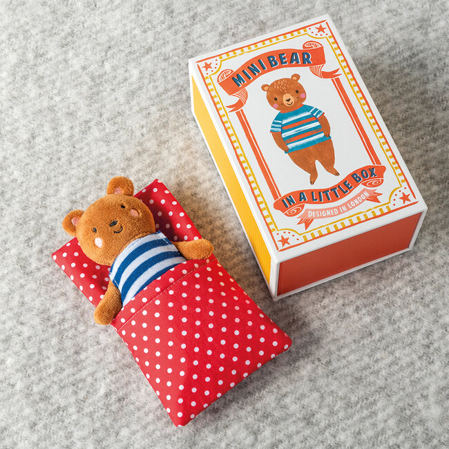Mini Bär in kleiner Box