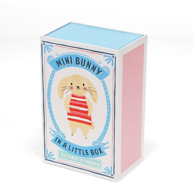 Mini Hase in kleiner Box