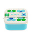 Snack Boxes Blue and Green Daisy