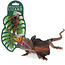 Rex London Realistic Toy Frill-Necked Lizard