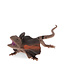 Realistische Spielzeug Frill-Necked Lizard