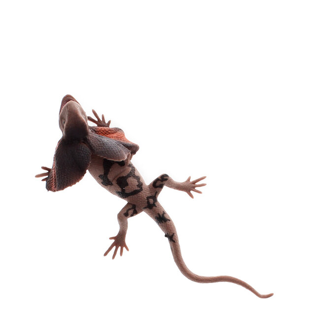 Realistic Toy Frill-Necked Lizard
