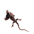 Rex London Realistische Spielzeug Frill-Necked Lizard