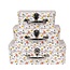 Clayre & Eef Suitcase Daisies Set of 3