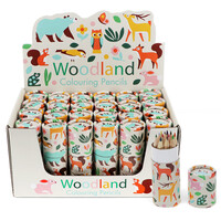 Rex London Buntstifte Woodland new Set of 12