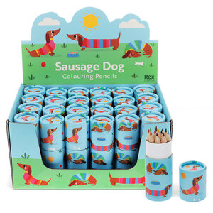 Rex London Buntstifte Sausage Dog Set of 12
