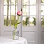 Sjaal met Verhaal Felt Flower Tulp Romy
