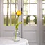 Sjaal met Verhaal Filzblume Tulp Olivia