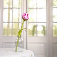Sjaal met Verhaal Felt Flower Tulp Flora