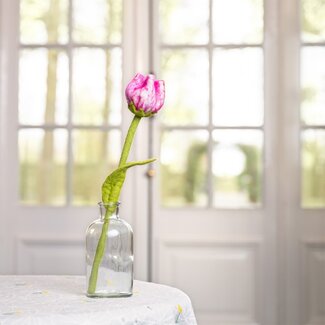 Sjaal met Verhaal Filzblume Tulp Flora