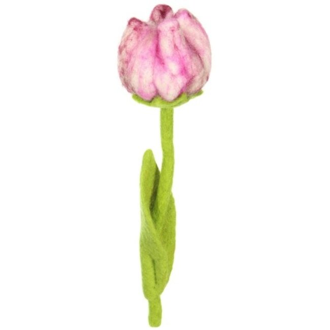Filzblume Tulp Flora