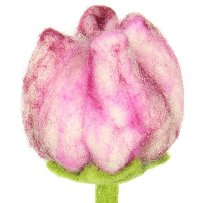 Filzblume Tulp Flora