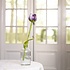 Sjaal met Verhaal Felt Flower Tulp Pipa