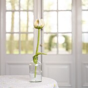 Sjaal met Verhaal Felt Flower Tulp Gini