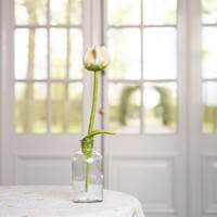 Sjaal met Verhaal Felt Flower Tulp Gini