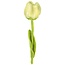 Filzblume Tulp Gini