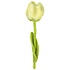 Sjaal met Verhaal Felt Flower Tulp Gini
