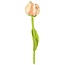 Felt Flower Tulp Zoë