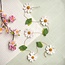 Felt Garland Margrietjes