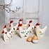 Sjaal met Verhaal Felt Decoration Haan Wildflower assorti