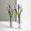 Filzblume Blauw Druifje Nieuw