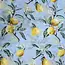 Schal Lemon blue