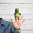 Finger Dolls Kikker