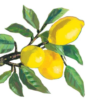 Paperproducts Design Paper Napkins Lemon Musee