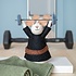 Sjaal met Verhaal Felt Decoration Muis Gewichtheffer