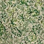 Scarve Golden Hibiscus green