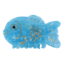Red Cuckoo Hair Claw Clip Fish blue
