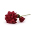 Sjaal met Verhaal Felt Flower Dahlia XL wijnrood