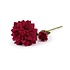 Sjaal met Verhaal Filzblume Dahlia XL burgundy