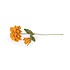 Sjaal met Verhaal Felt Flower Dahlia XL okergeel