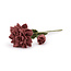 Filzblume Dahlia XL blush