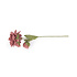 Sjaal met Verhaal Felt Flower Dahlia XL blush
