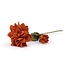 Sjaal met Verhaal Filzblume Dahlia XL cognac