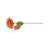 Sjaal met Verhaal Felt Flower Dahlia XL cognac