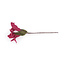 Filzblume Tak Lelie burgundy