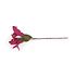Sjaal met Verhaal Filzblume Tak Lelie burgundy