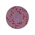 Sjaal met Verhaal Filz-Untersetzer 35 cm rond Bes Rood
