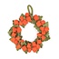 Wreath Physalis Lampion