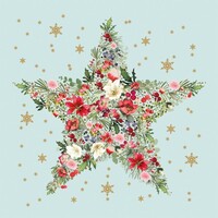 Paperproducts Design Paper Napkins Beautiful Christmas Star blue