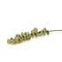 Sjaal met Verhaal Felt Flower Tak Eucalyptus lichtgroen