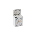 CGB Giftware Music Box Little Bear Silent Night