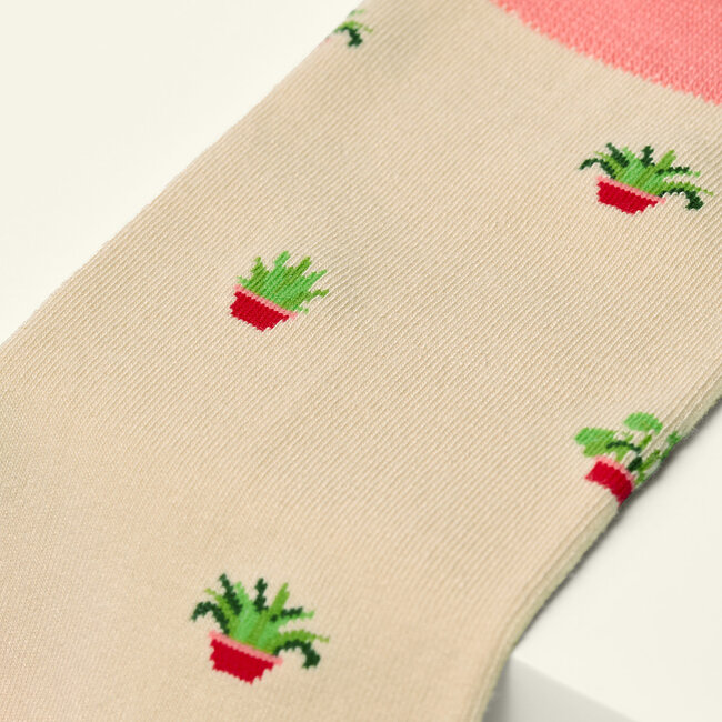 Socken Bamboo The House Plant