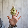 Sjaal met Verhaal Fingerpuppen Kerstboom lichtgroen