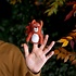 Sjaal met Verhaal Fingerpuppen Eekhoorn