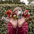 Sjaal met Verhaal Fingerpuppen Wasbeer