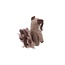 Finger Dolls Wasbeer